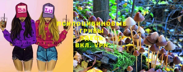 эйфоретик Белокуриха