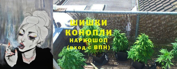 PSILOCYBIN Белоозёрский