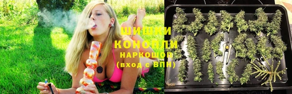 PSILOCYBIN Белоозёрский